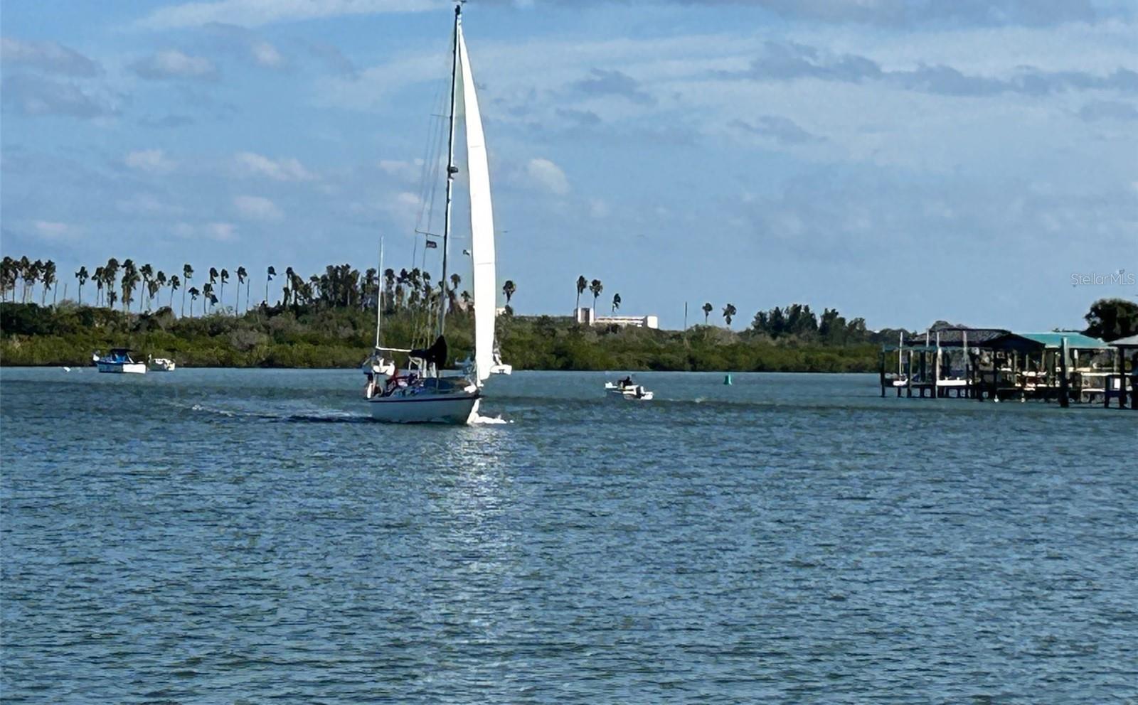 Photo #57