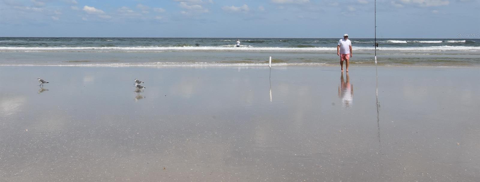 Photo #33