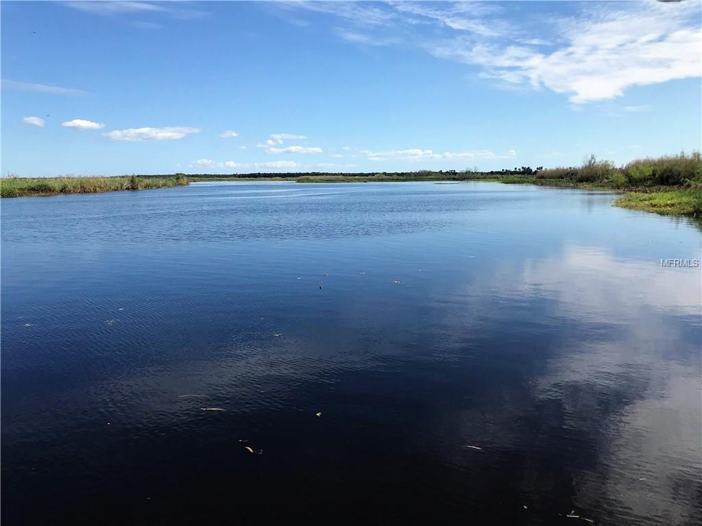 Photo #11
