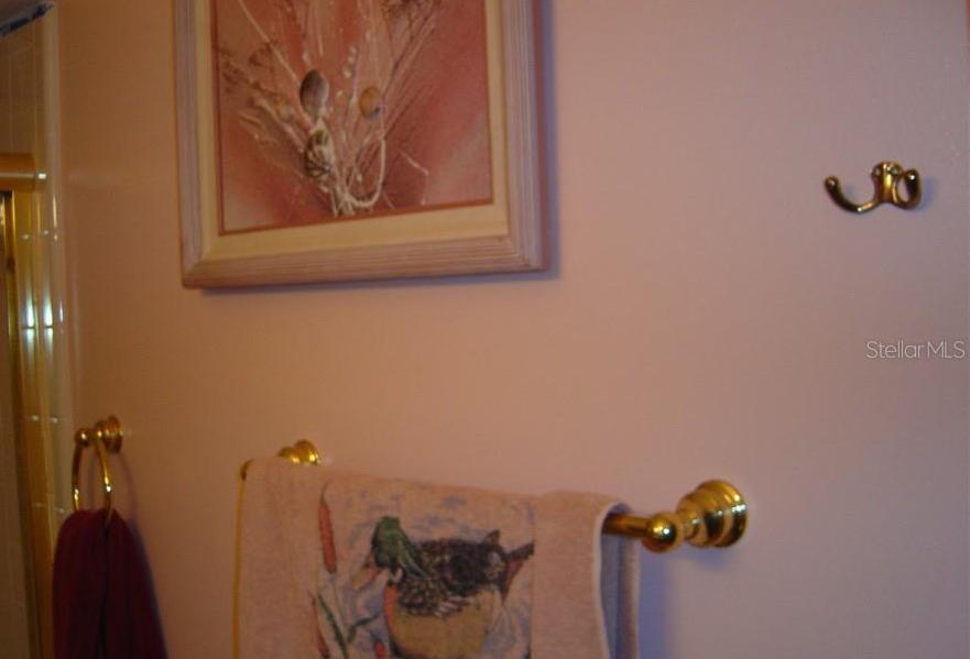 Photo #12