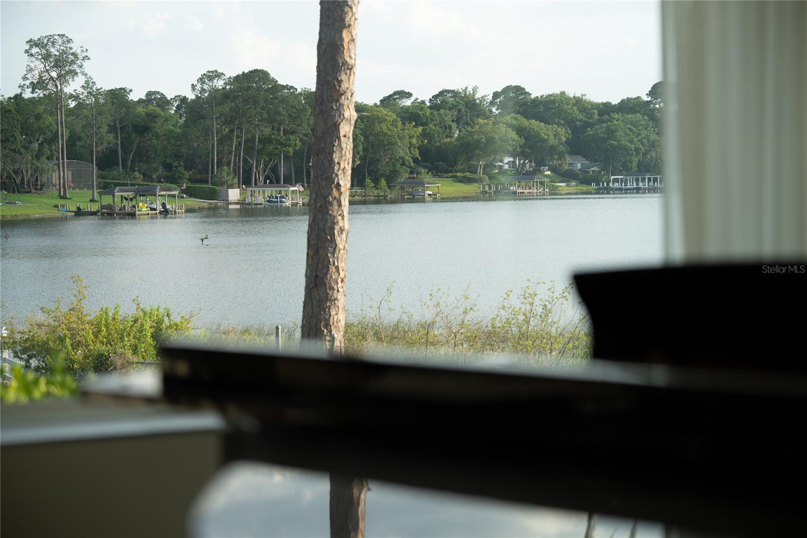 Photo #33
