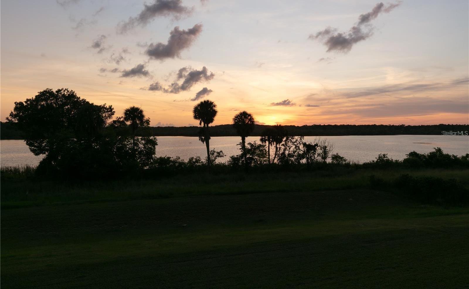 Photo #49