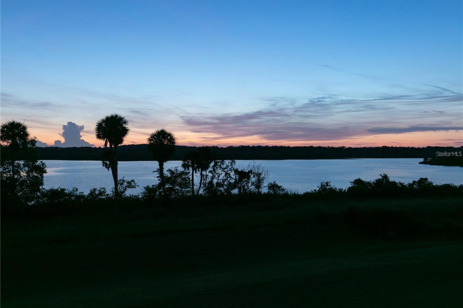 Photo #52