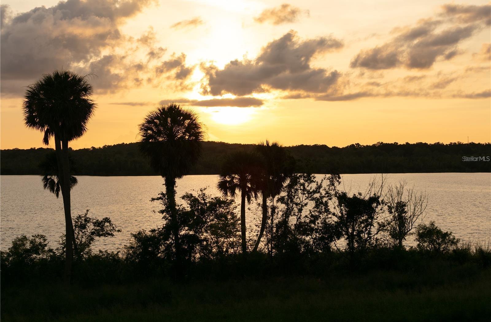 Photo #50