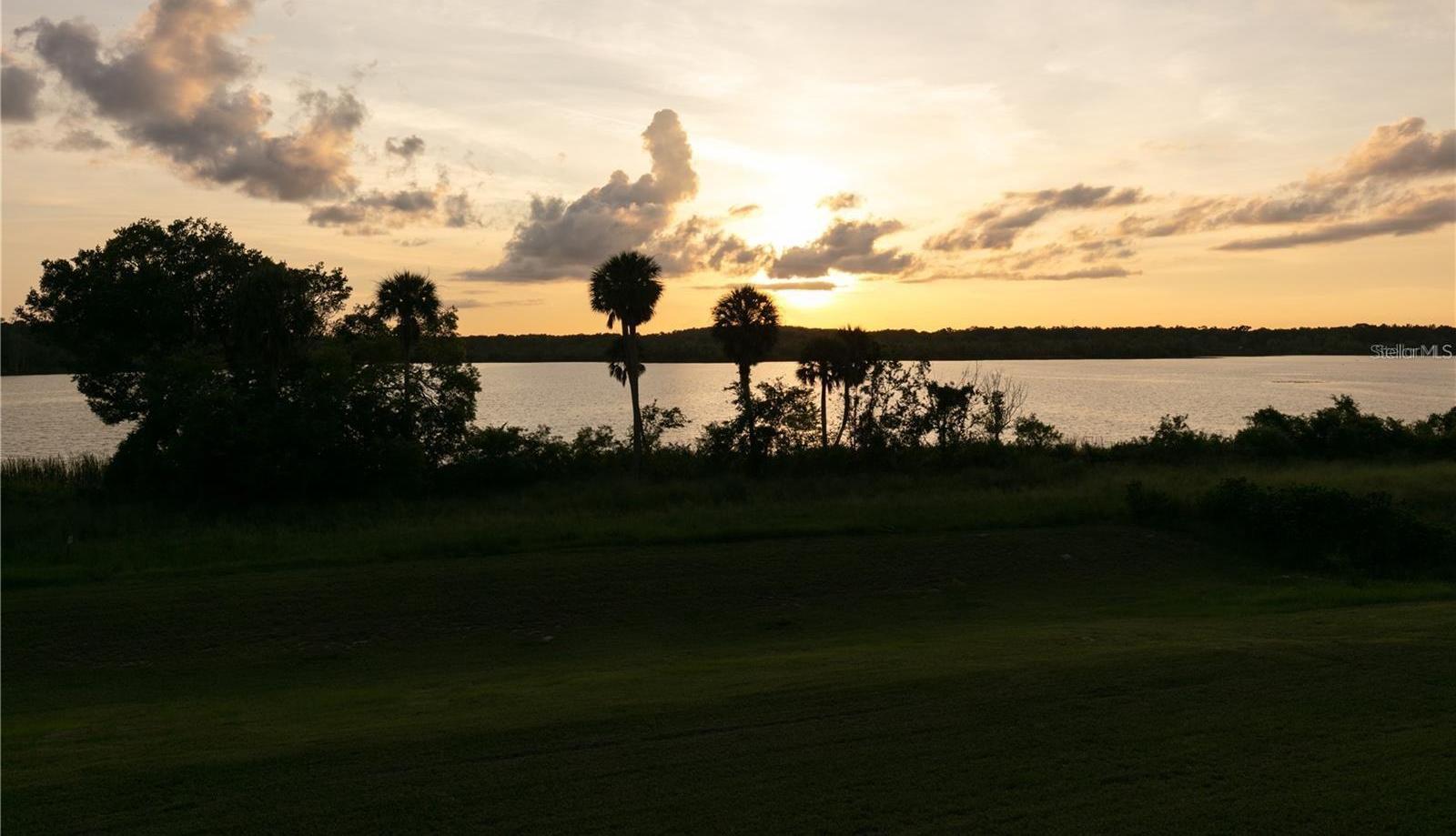 Photo #51