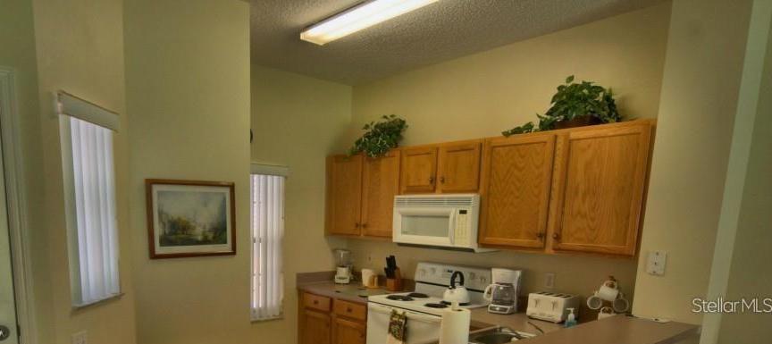Photo #5