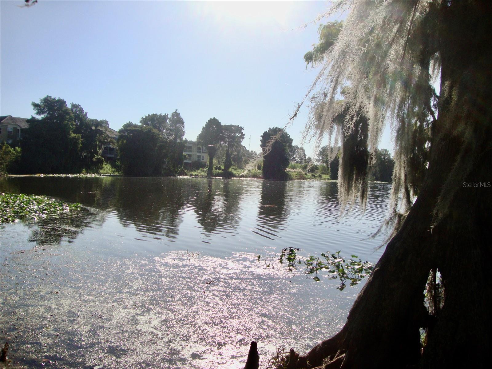 Photo #18