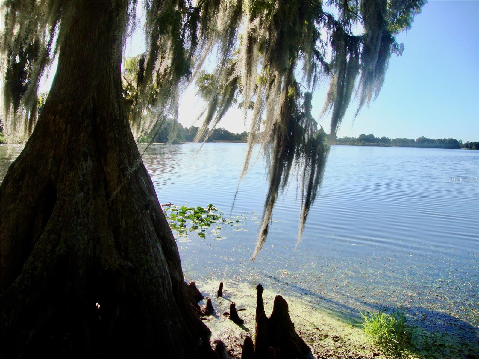 Photo #16