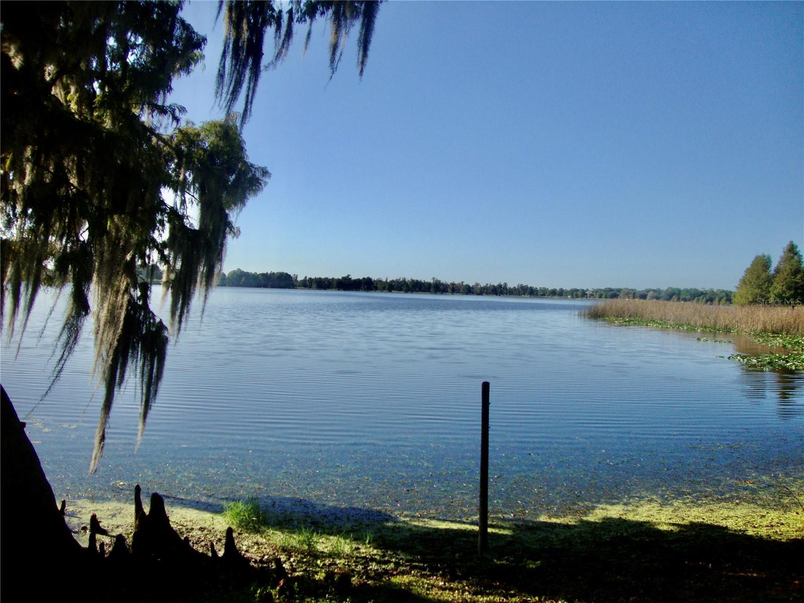 Photo #3