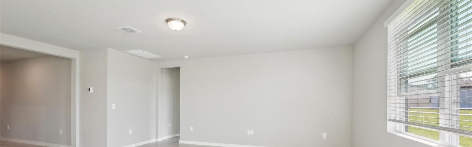 Photo #8