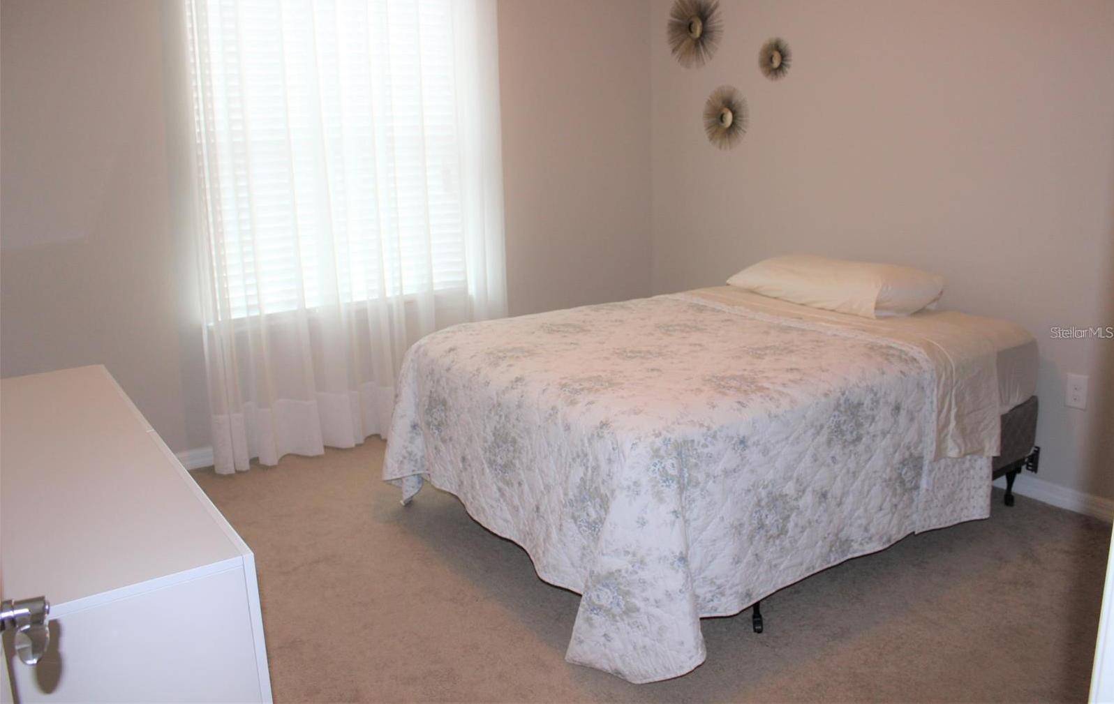 Photo #16