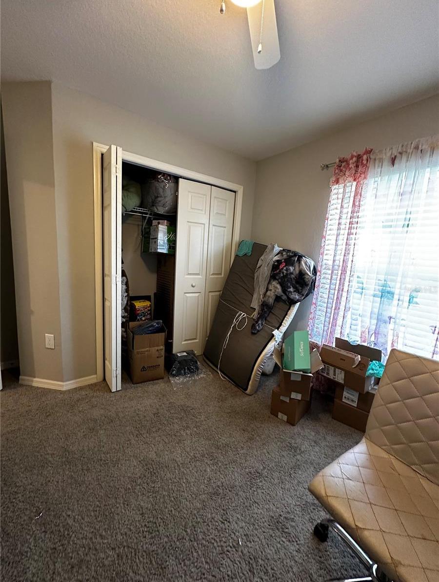 Photo #41