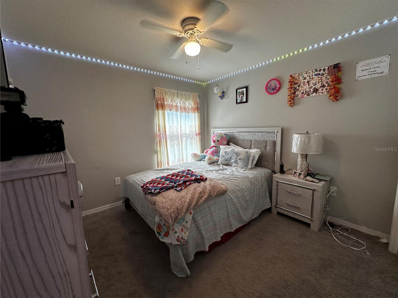 Photo #37