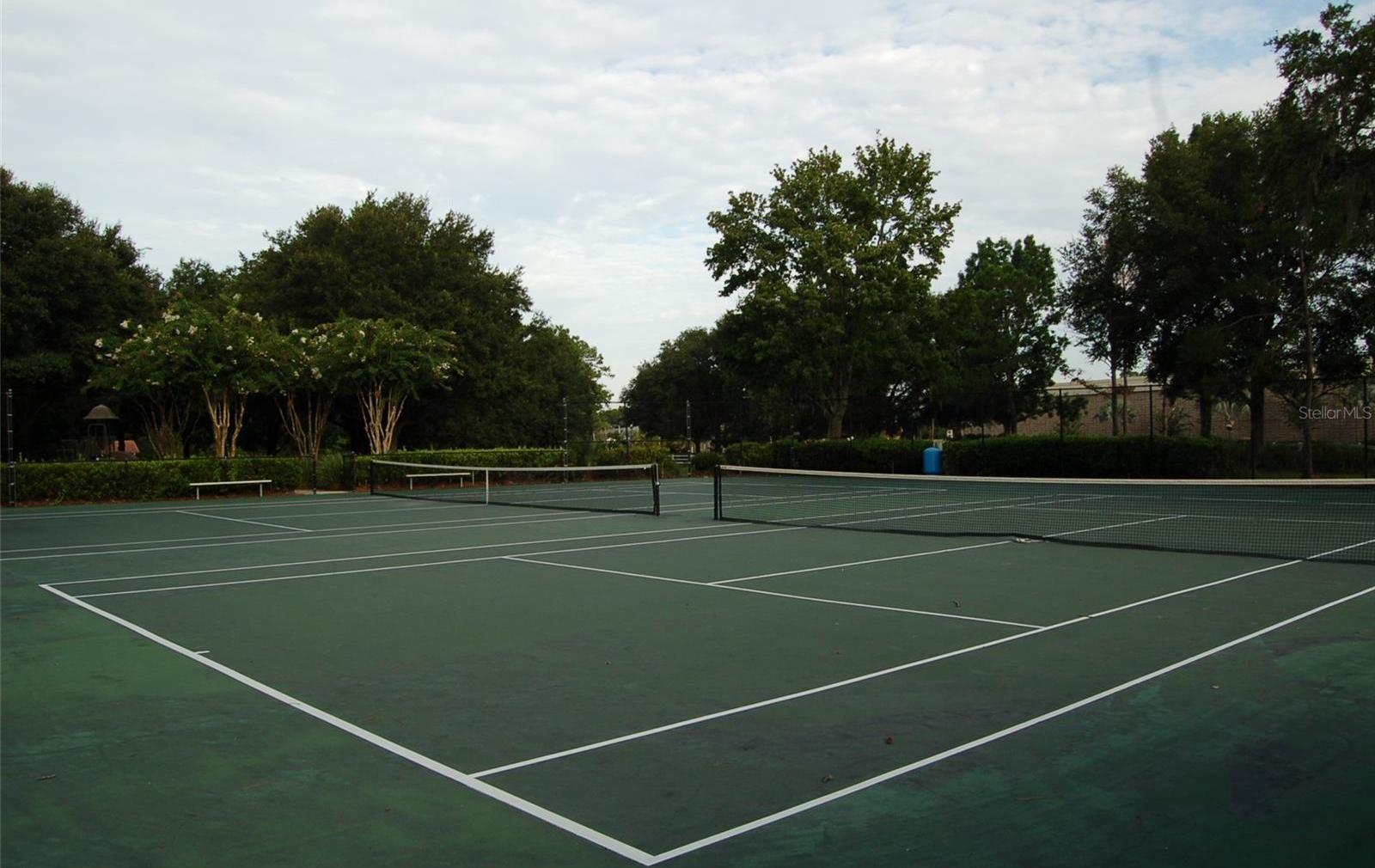 Photo #44