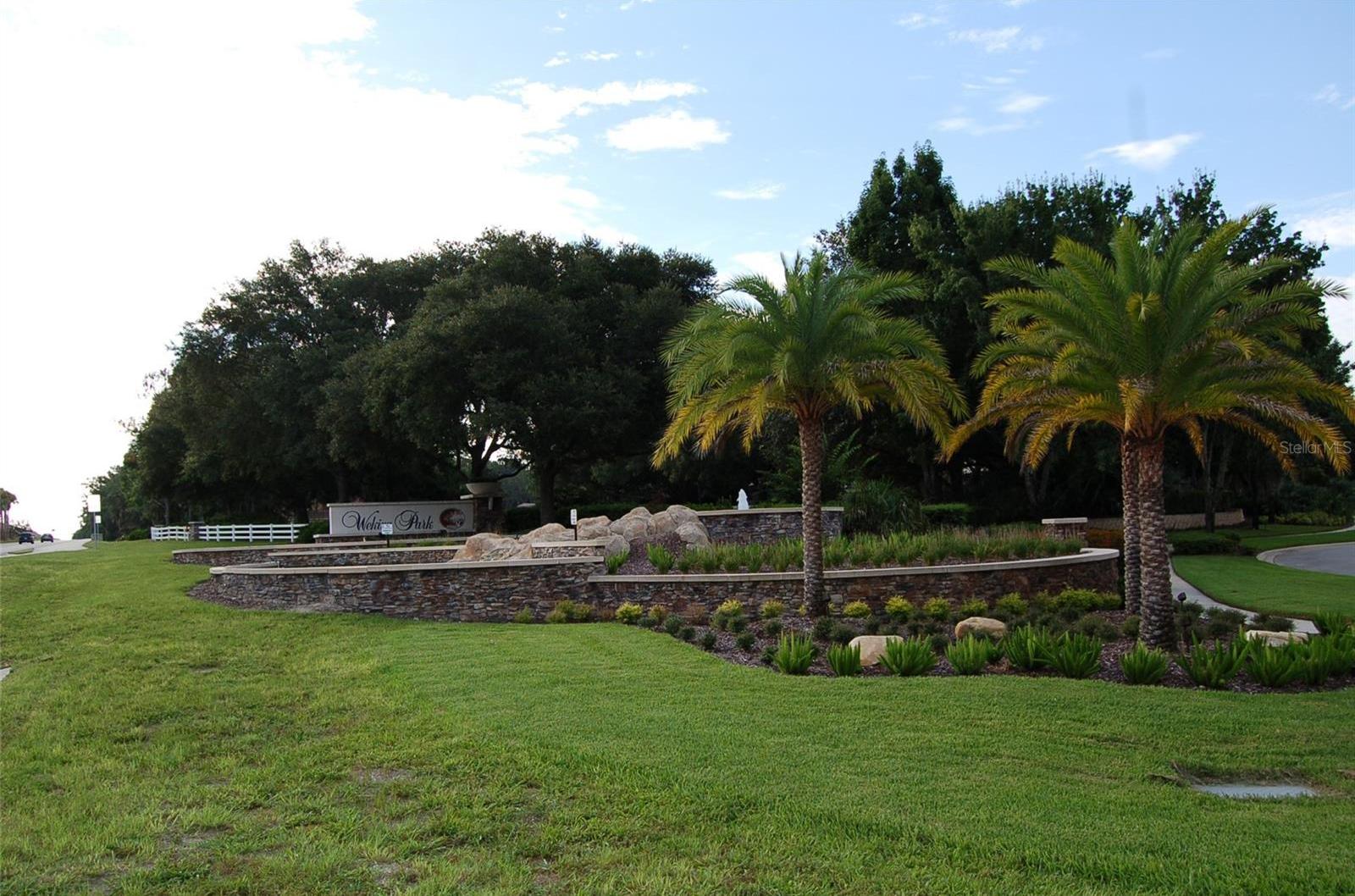 Photo #37