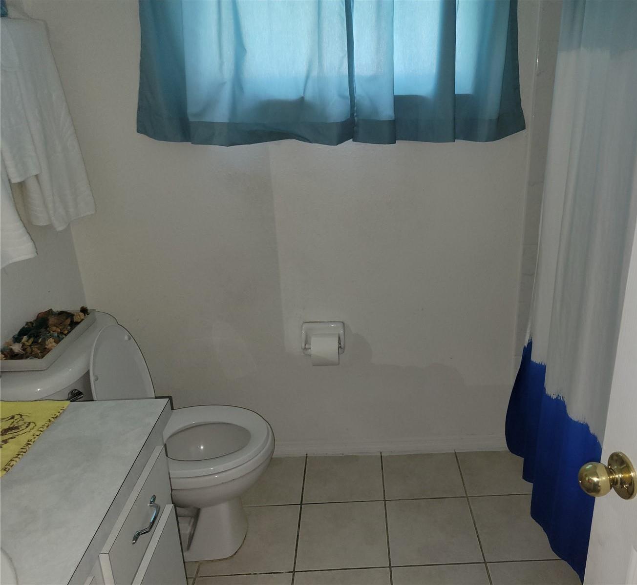 Photo #11