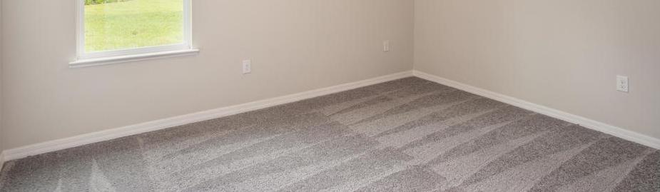 Photo #11