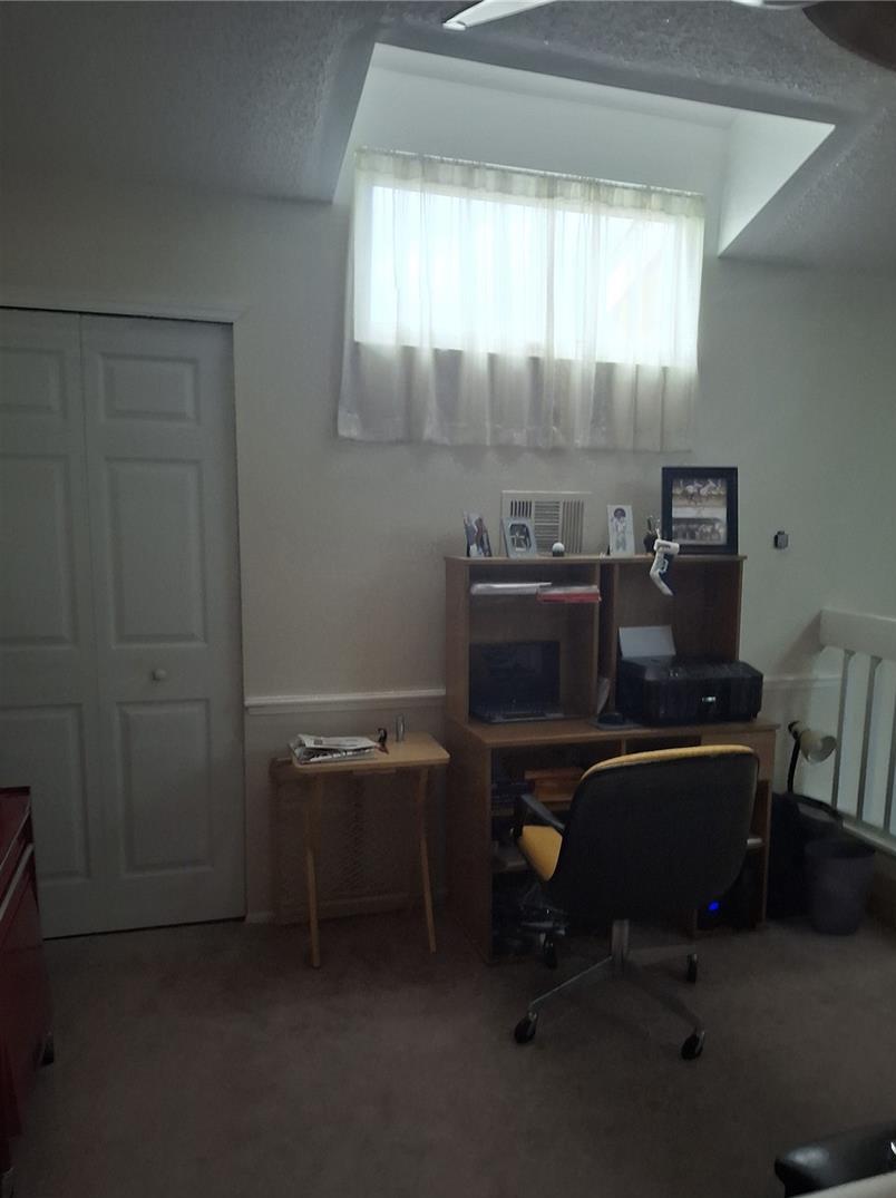Photo #8