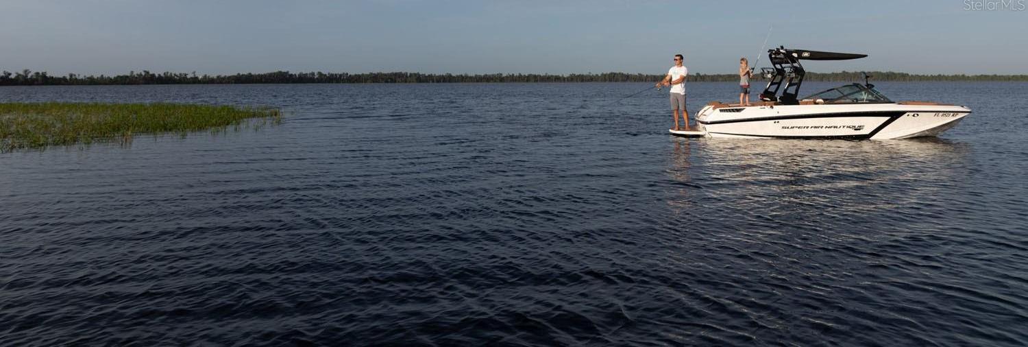 Photo #6