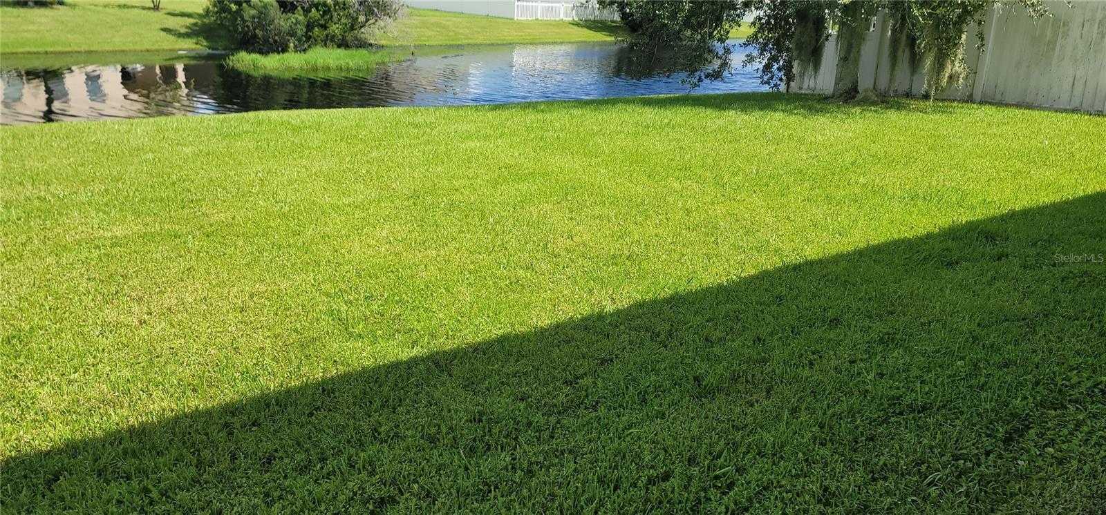 Photo #18