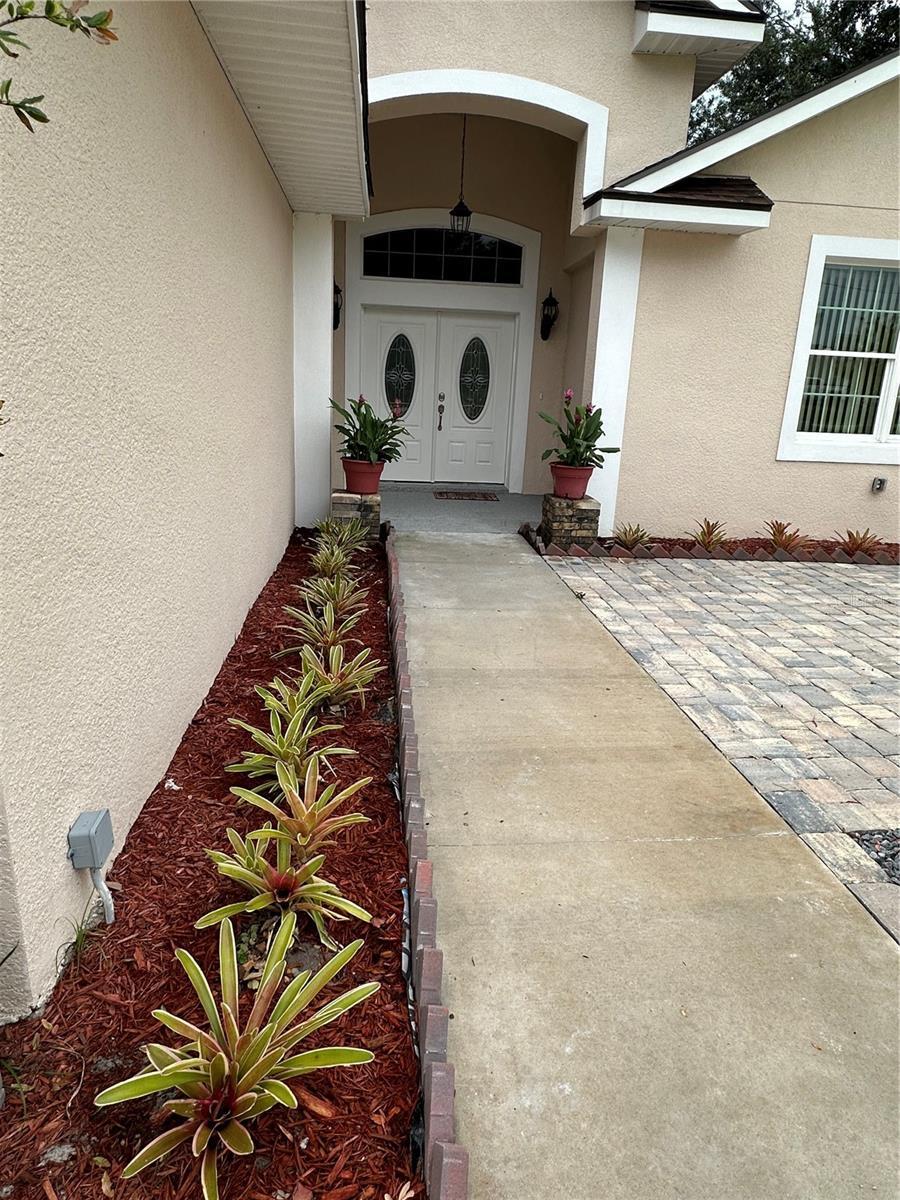 Photo #35