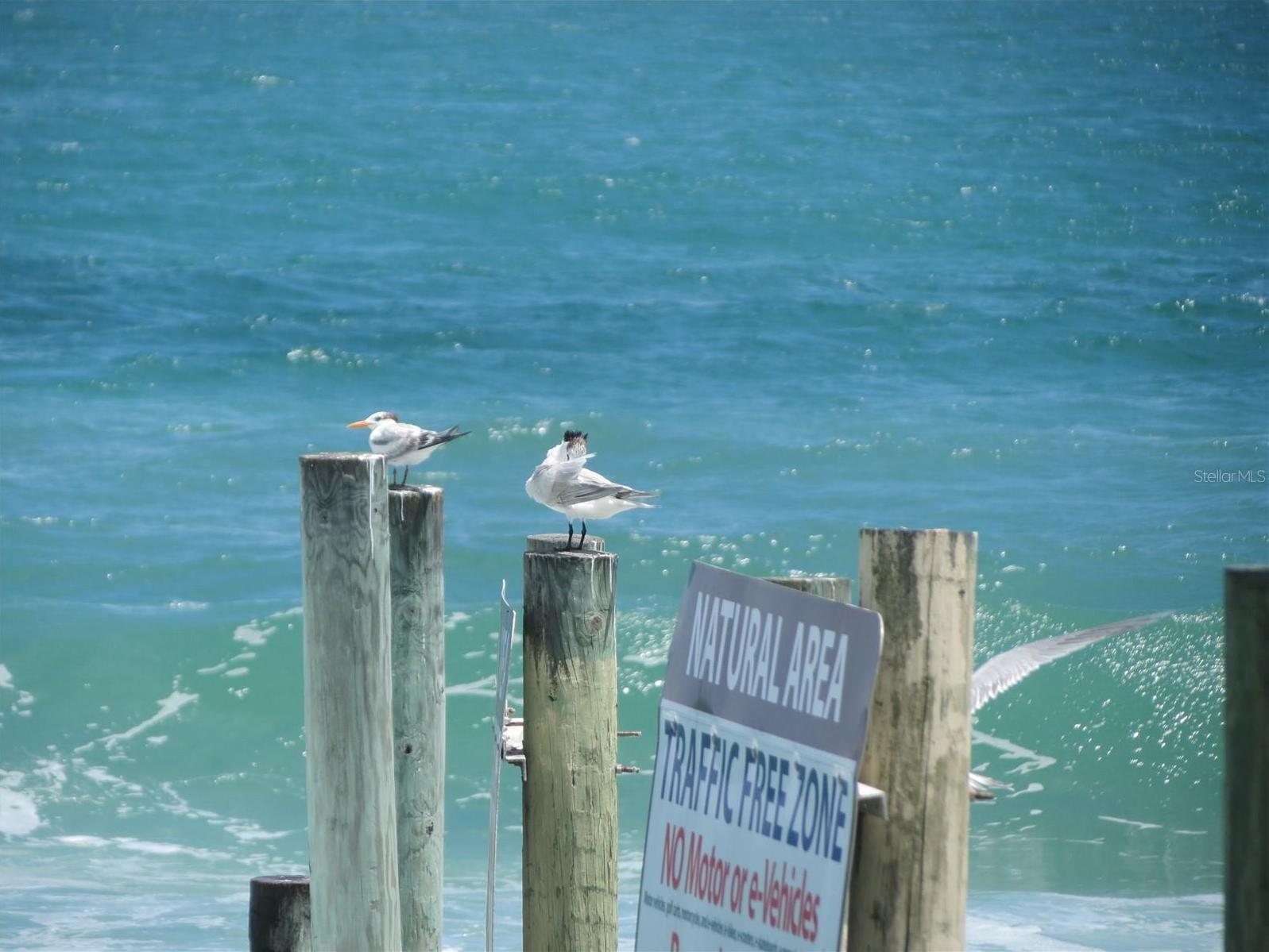 Photo #47