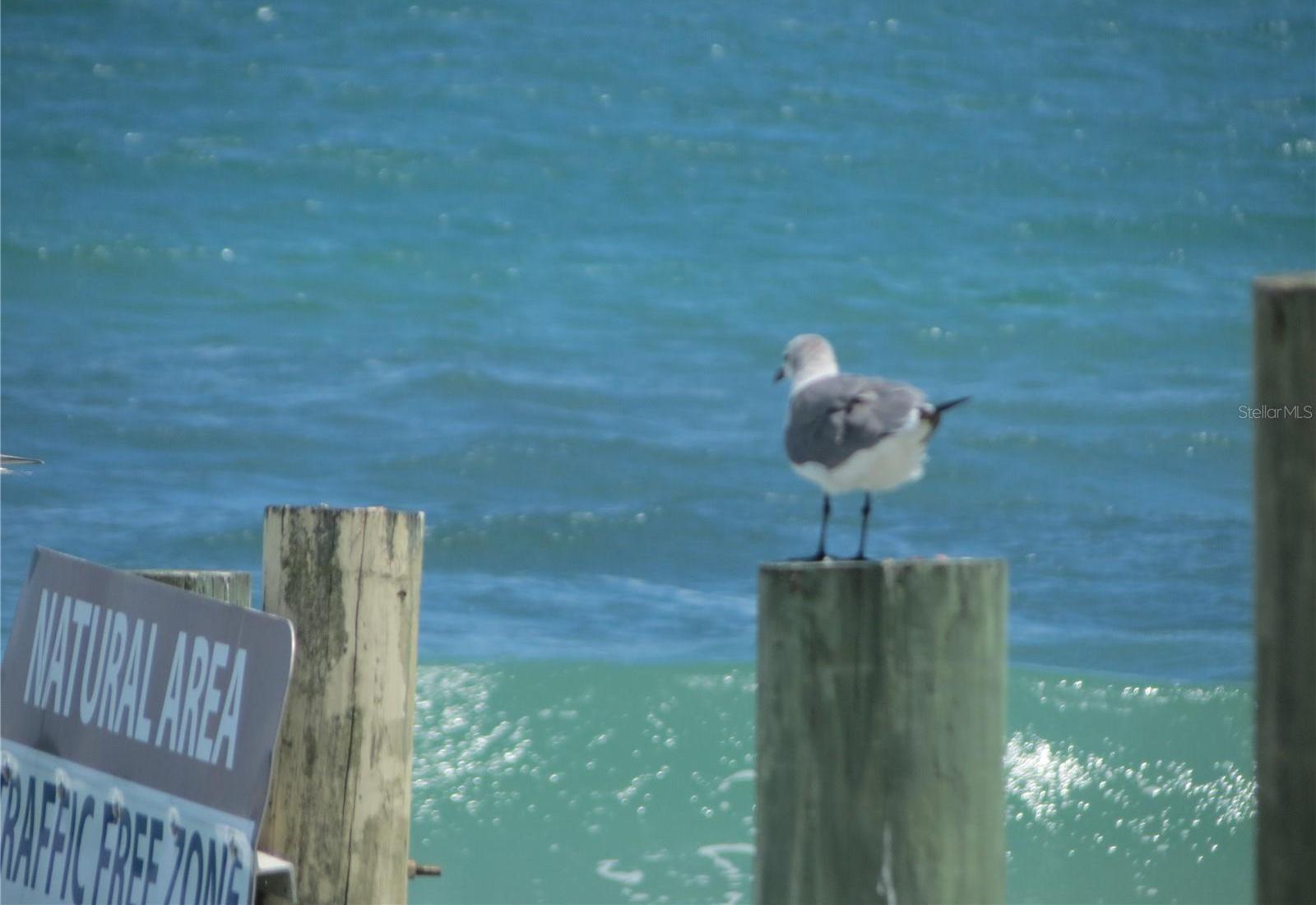 Photo #48