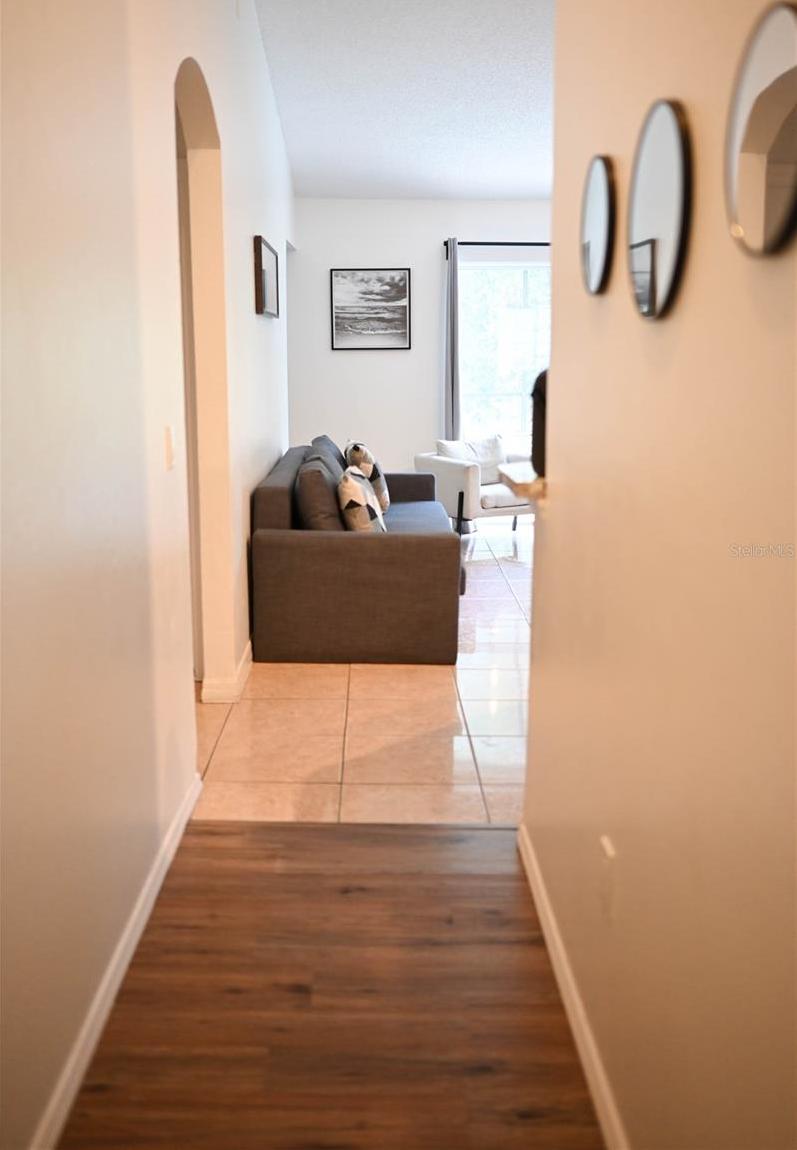 Photo #13