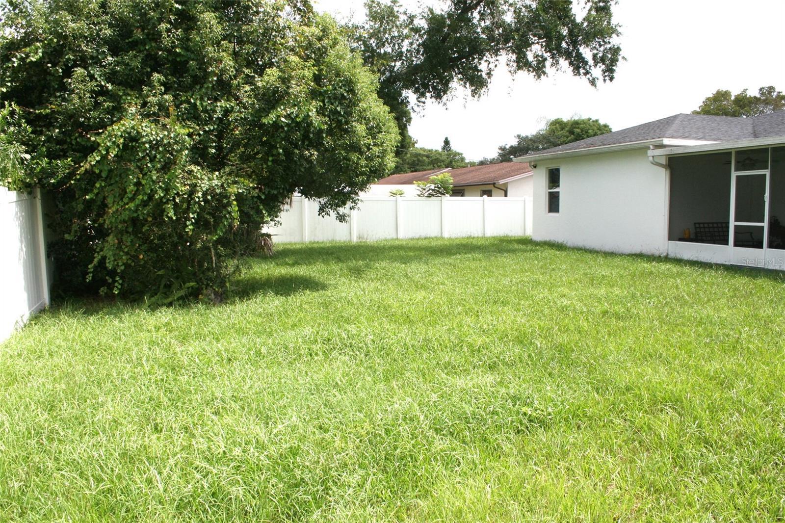 Photo #31