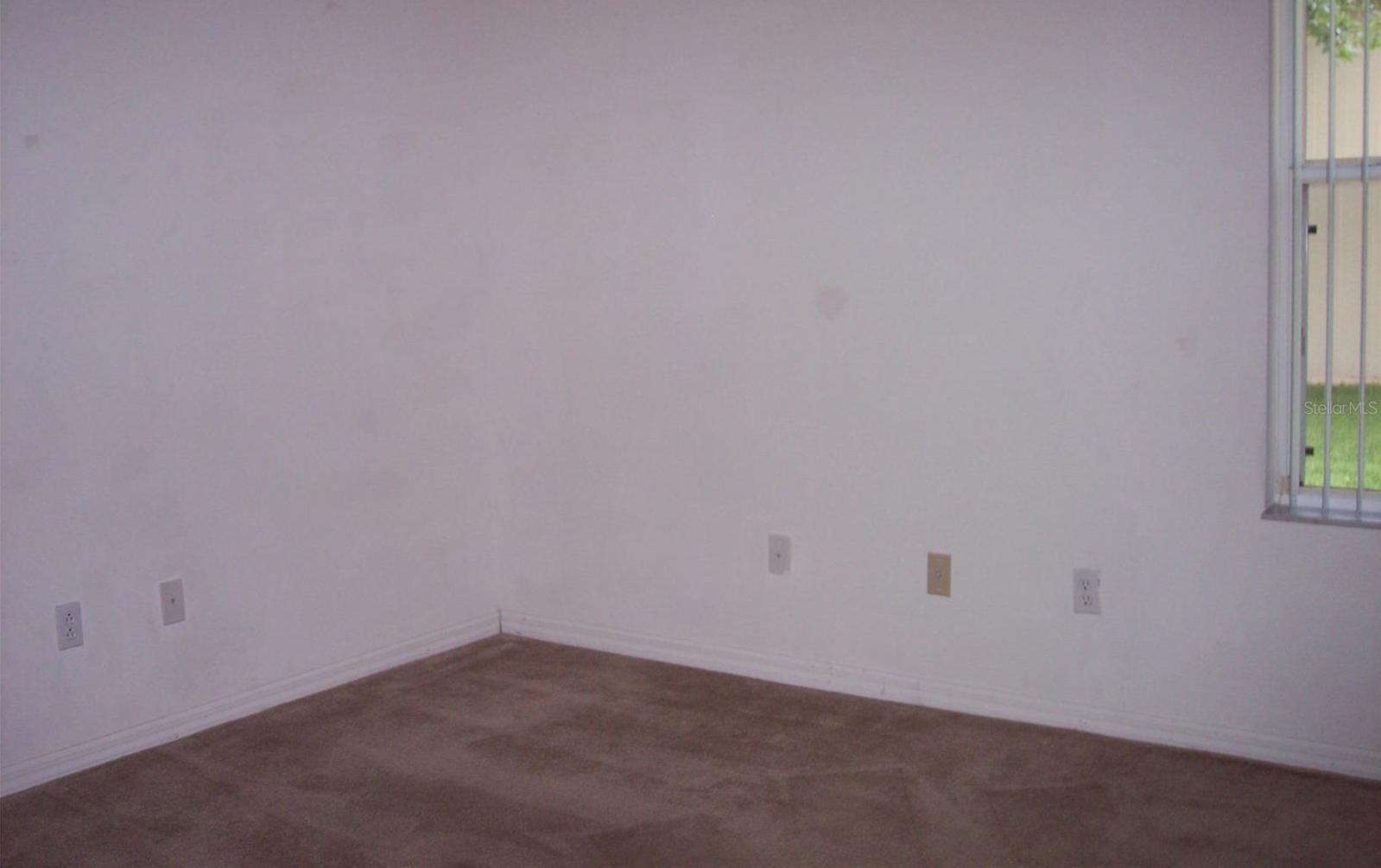 Photo #24