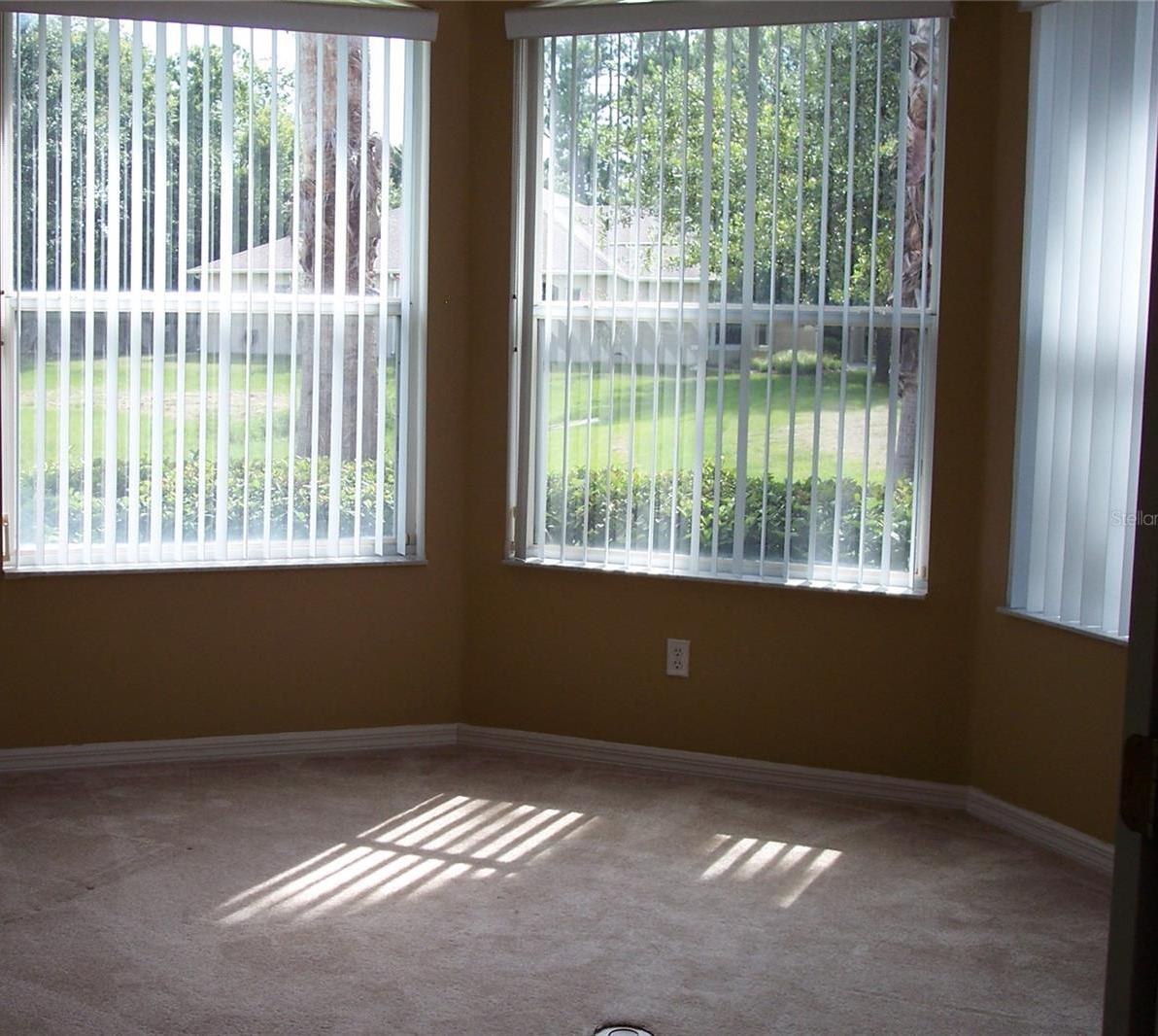 Photo #15