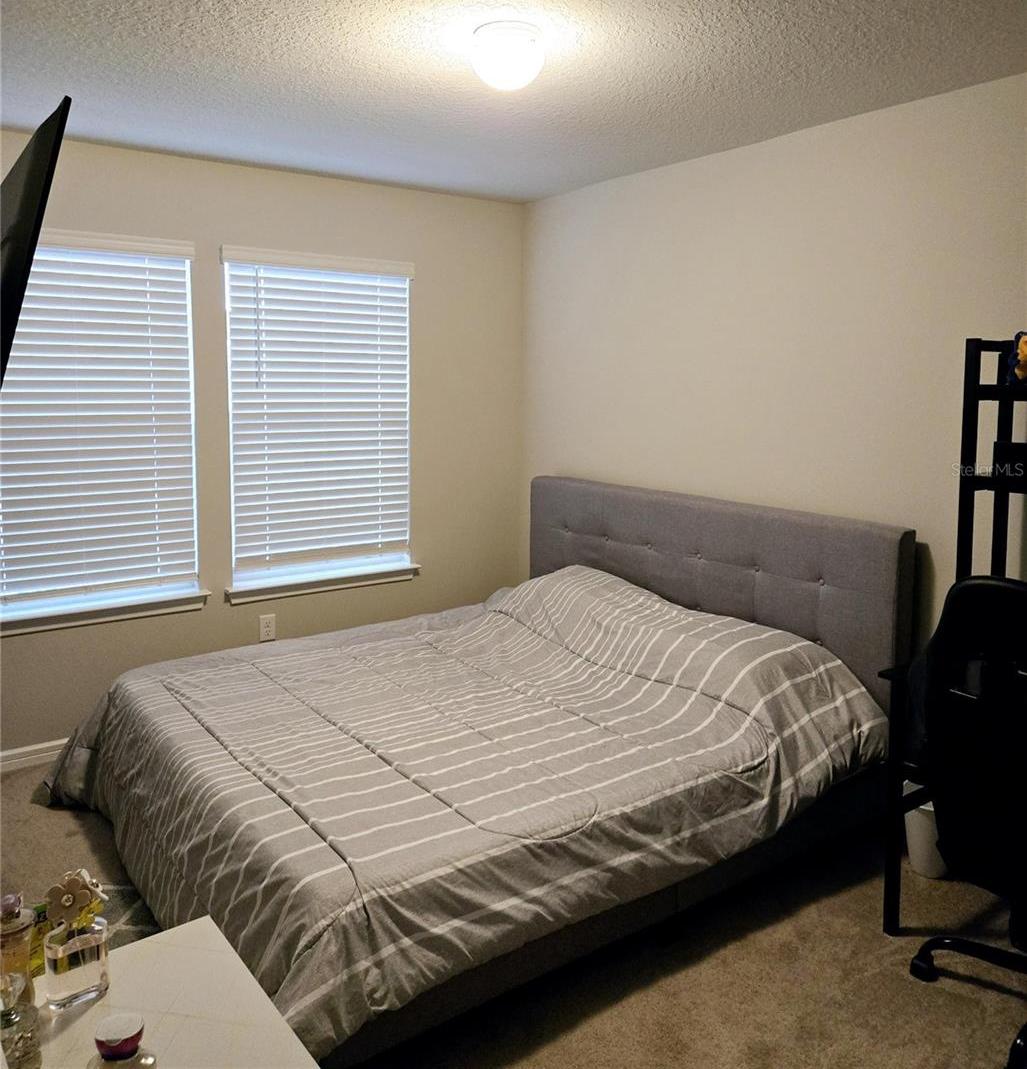 Photo #18
