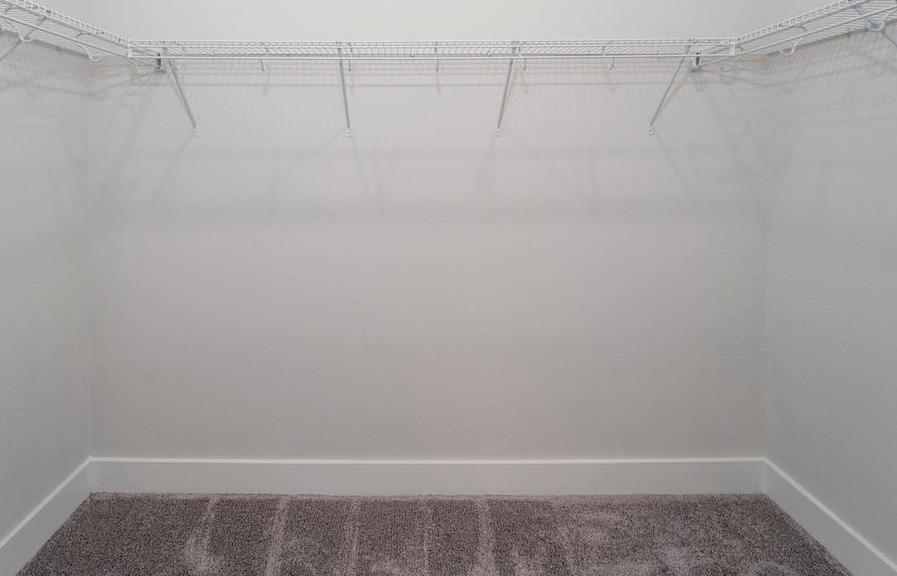 Photo #12