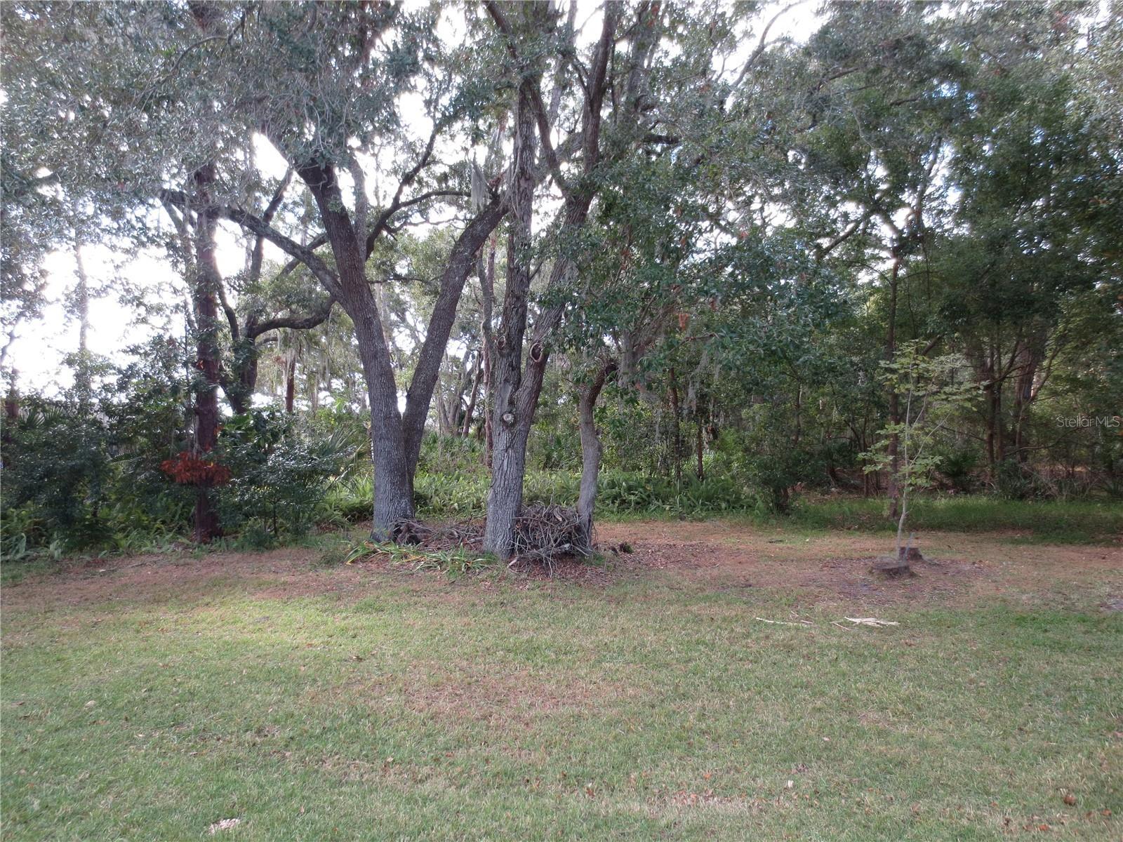 Photo #43
