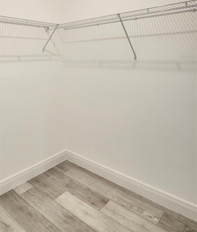 Photo #16