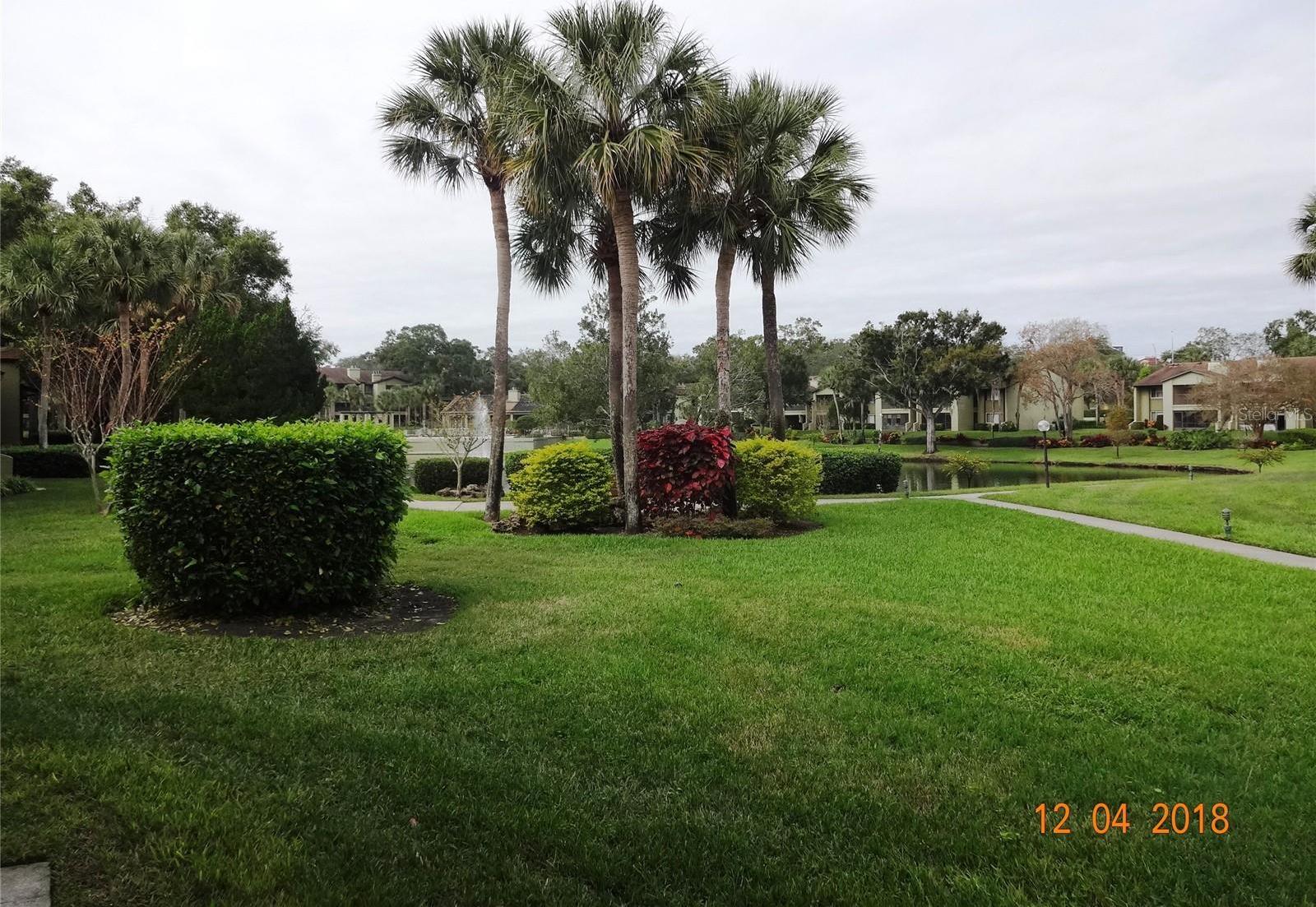 Photo #33