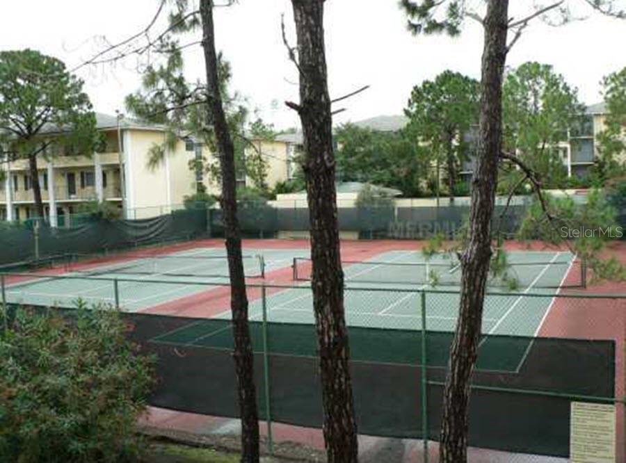 Photo #10
