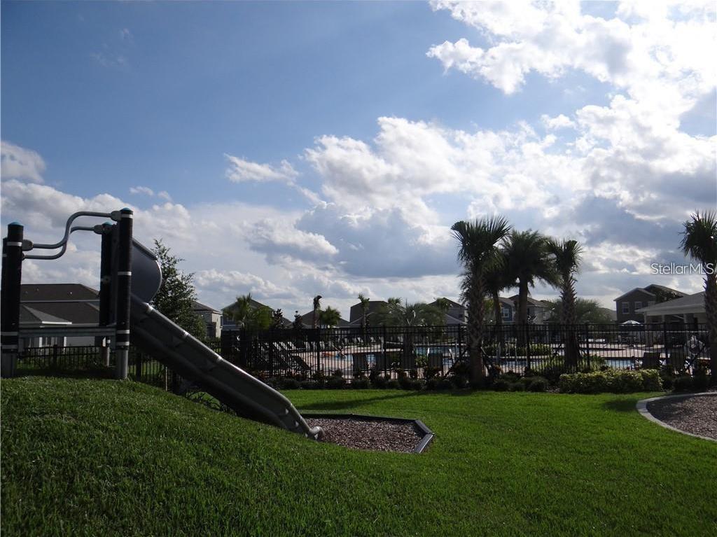 Photo #16