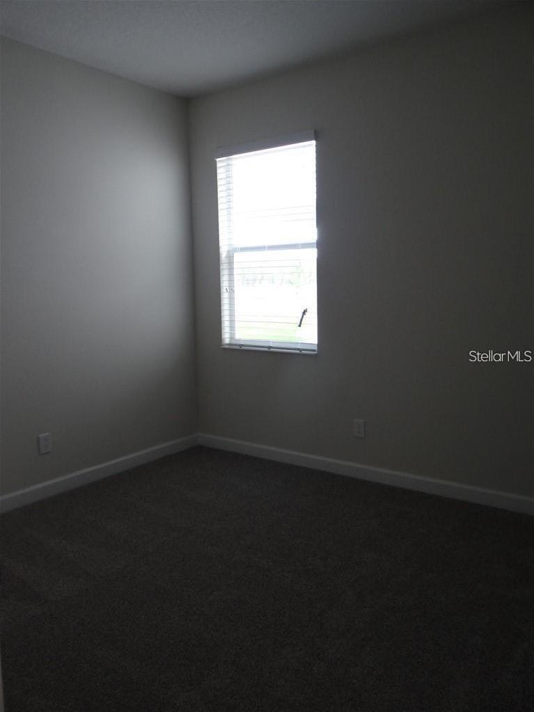 Photo #8
