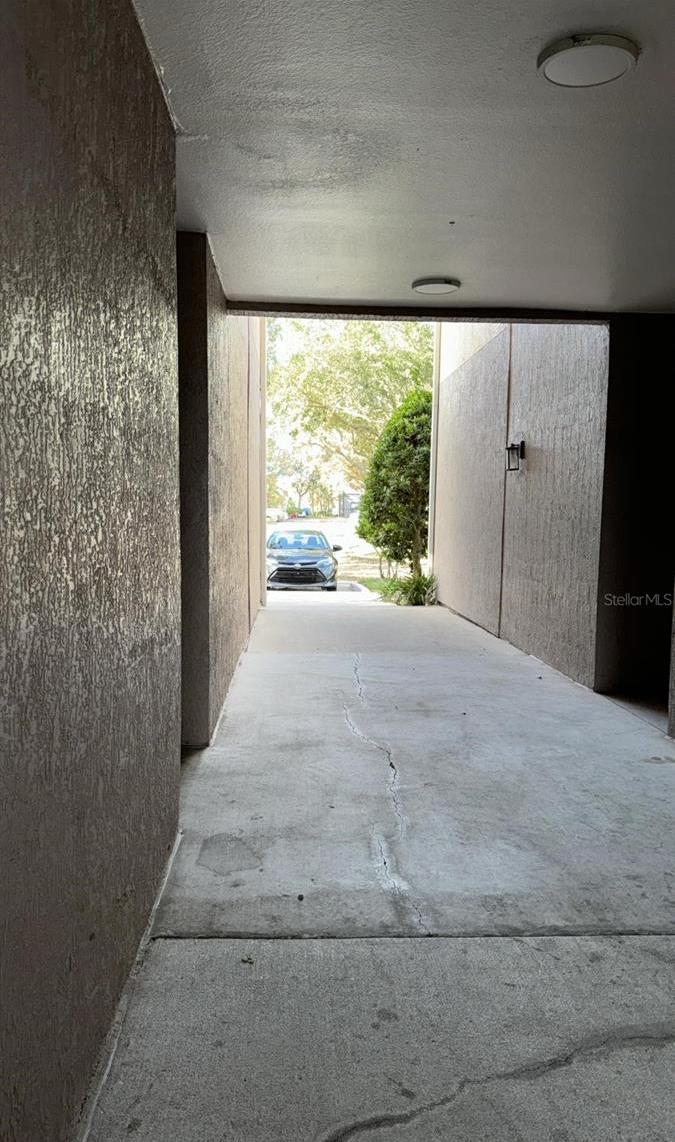 Photo #31