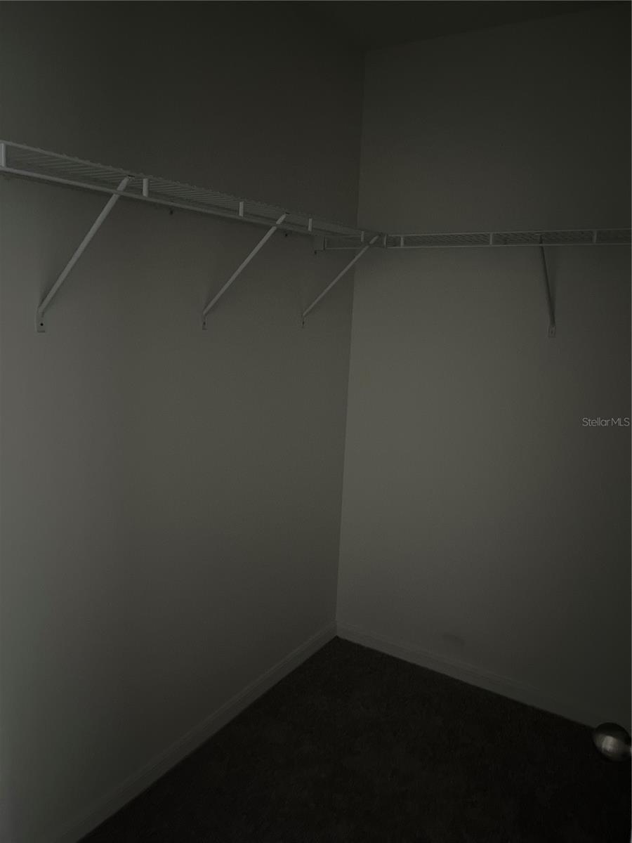 Photo #31