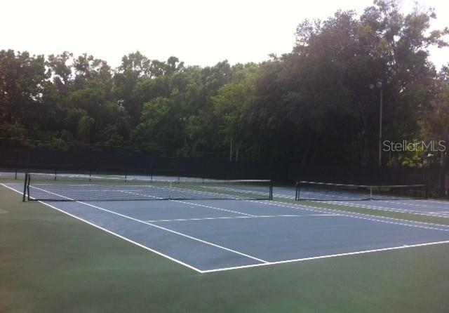 Photo #31