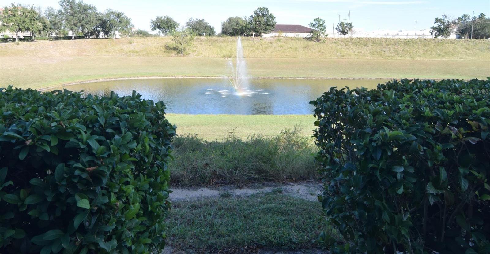 Photo #25