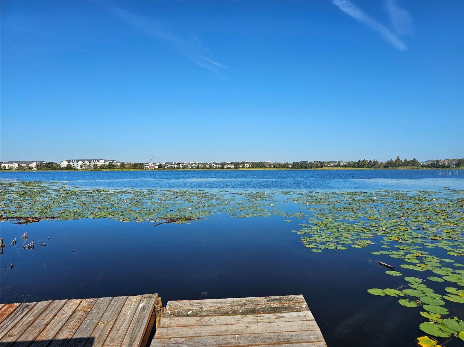 Photo #14
