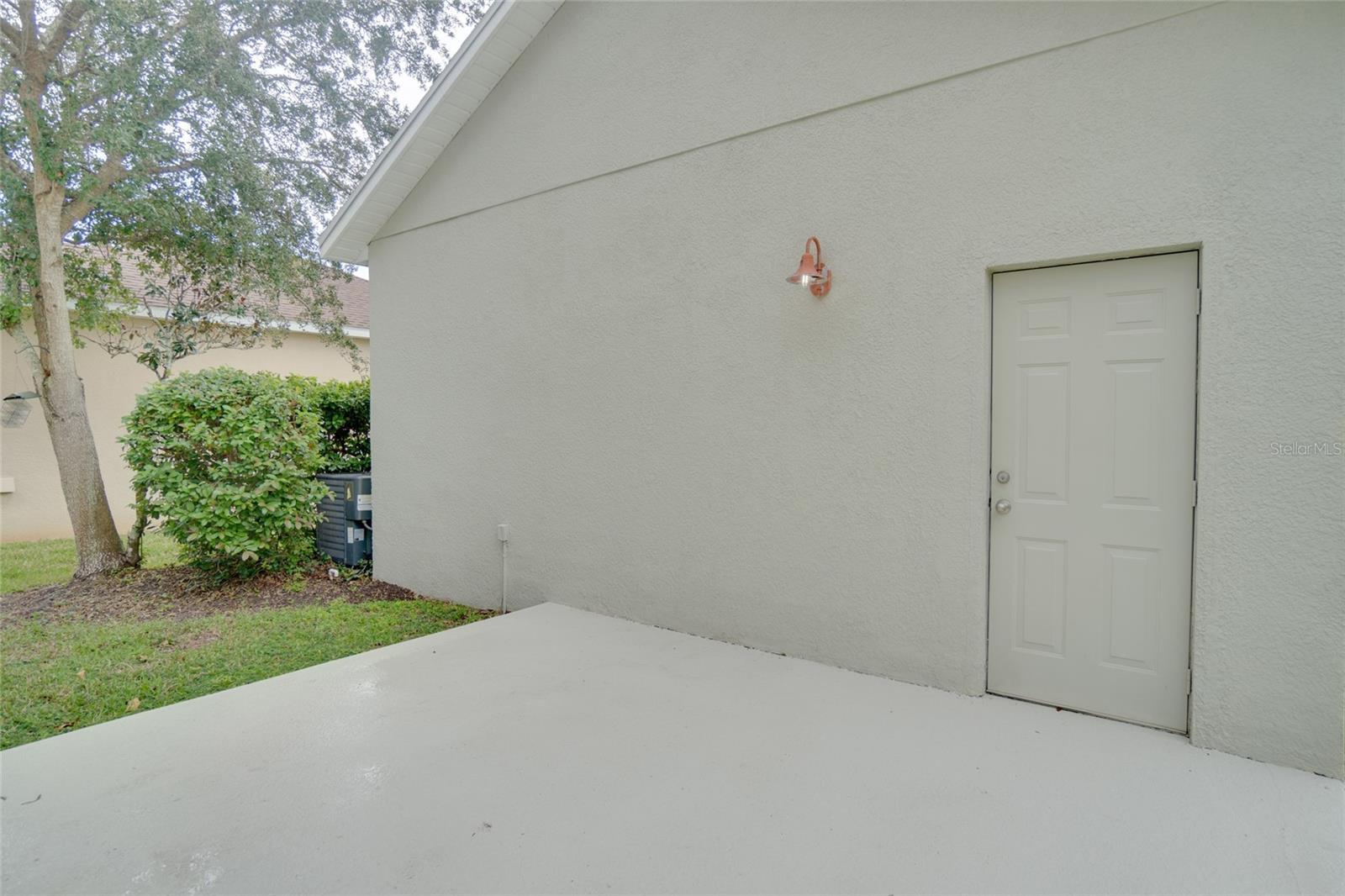 Photo #46