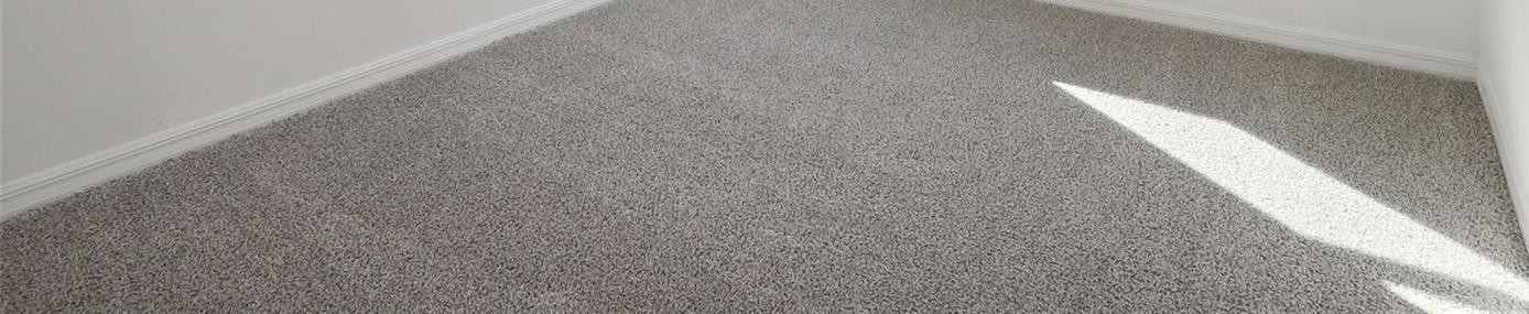 Photo #16