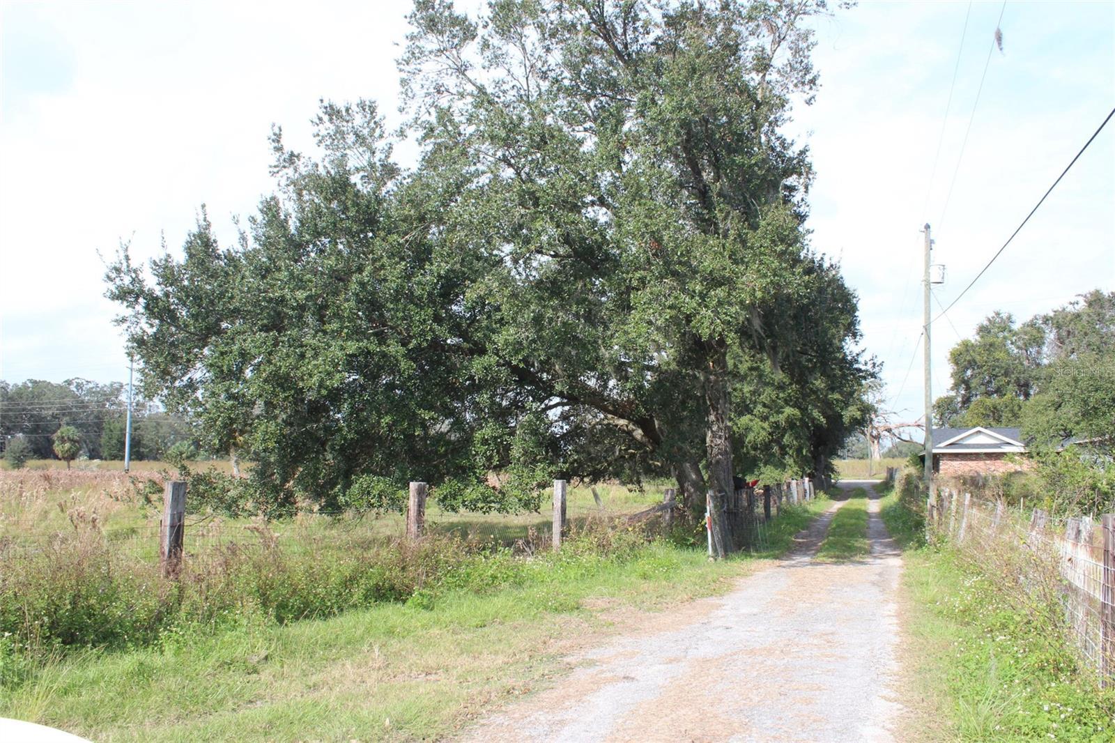 Photo #18