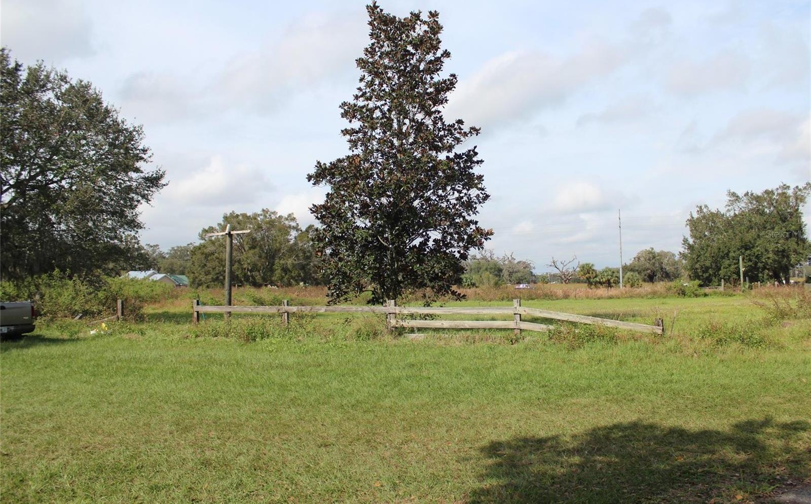 Photo #15