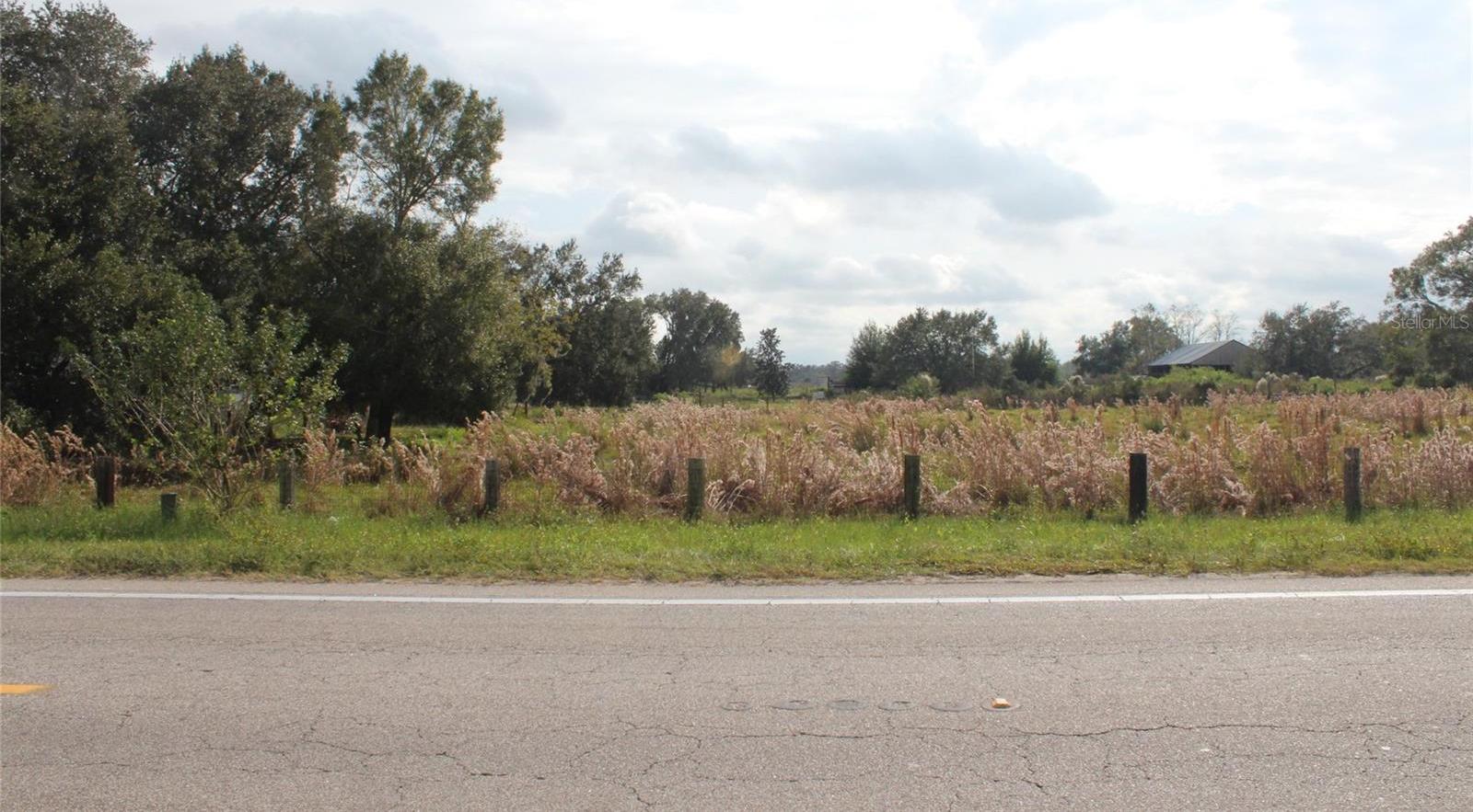 Photo #23