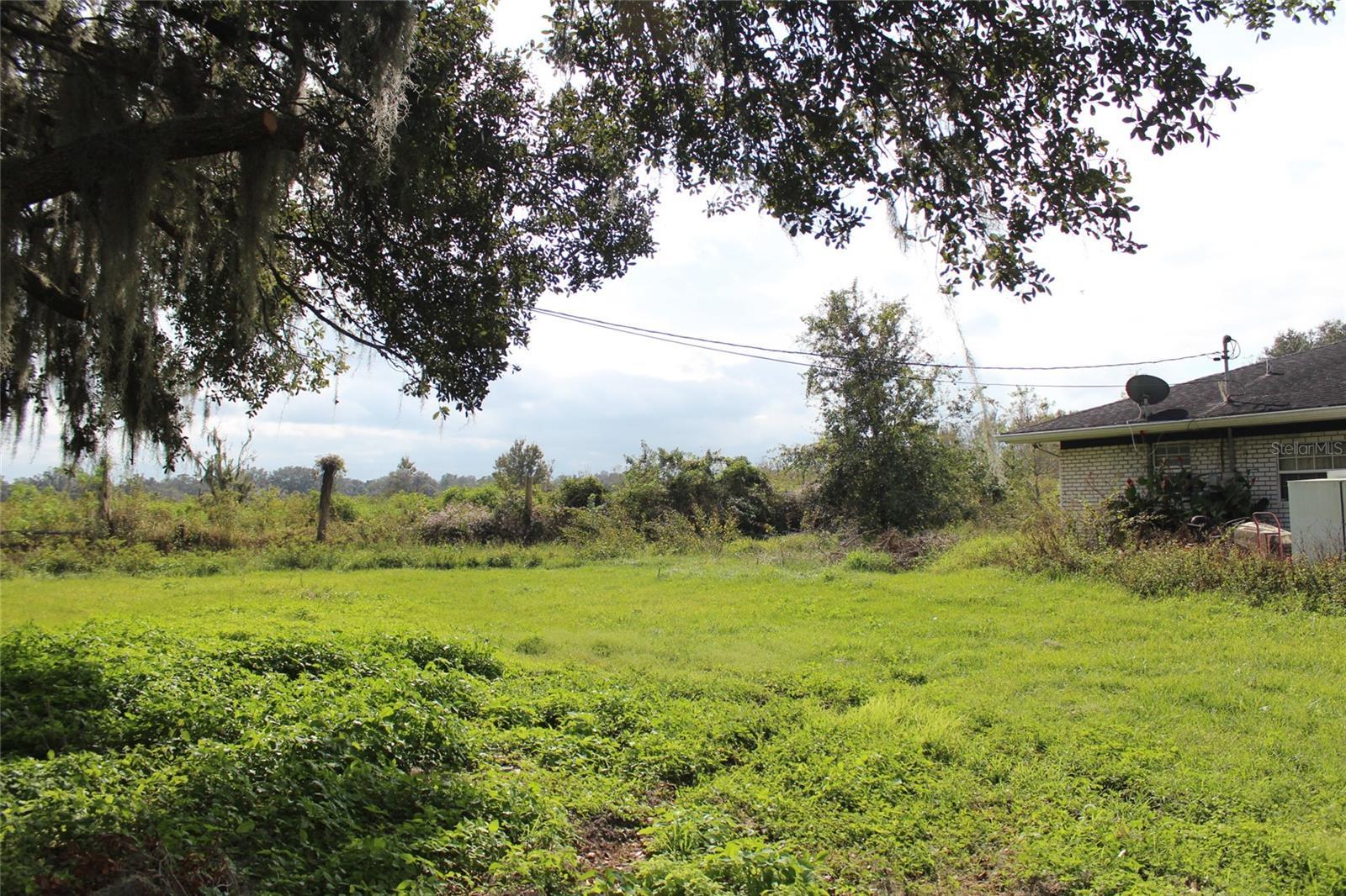 Photo #13
